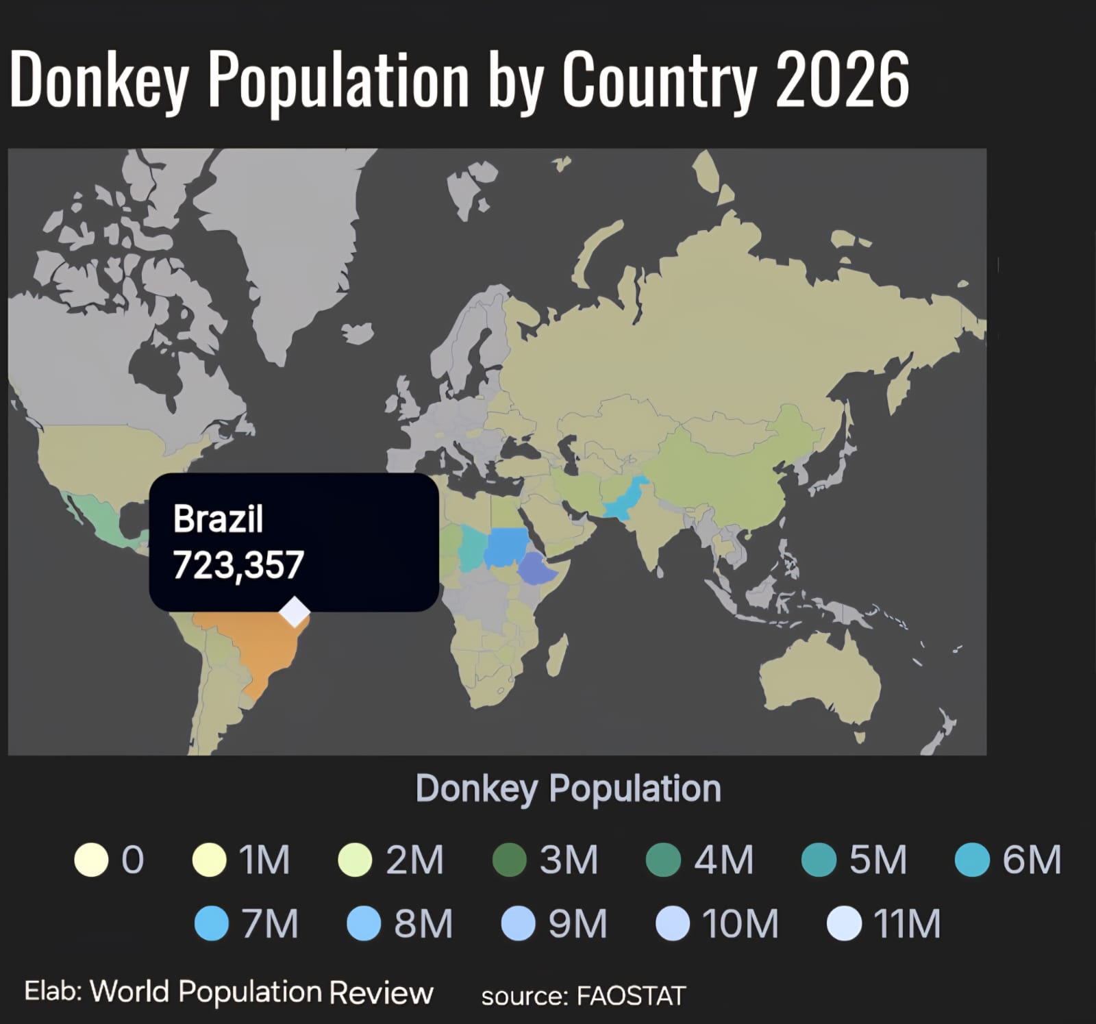 World Population Review aponta que a populacao de jumentos no Brasil ultrapassou 730 mil animais em 2026