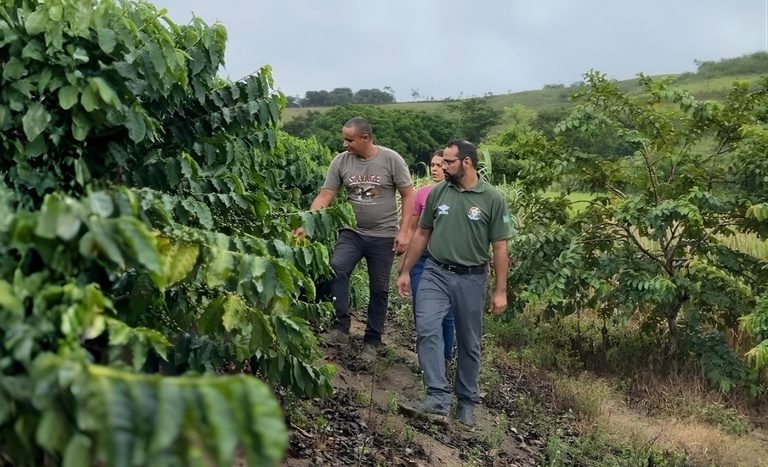 Família assentada investe em cafeicultura na Zona da Mata de Alagoas