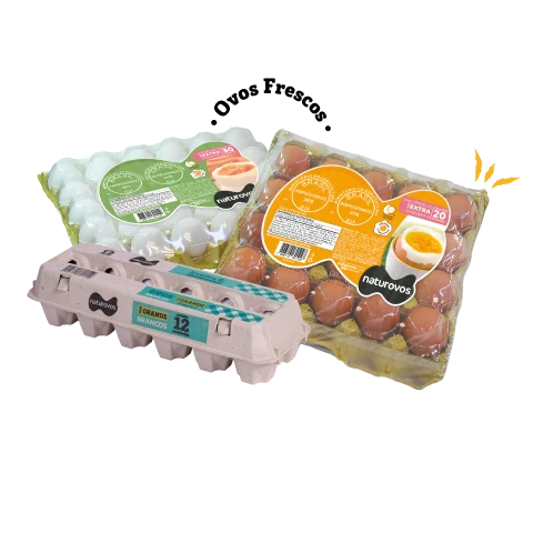 Com genética avançada, manejo de precisão e integração produtiva, Naturovos supera média internacional e transforma o Vale do Caí em referência mundial na produção de ovos