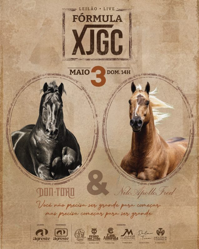 Com linhagens consagradas e um conceito técnico por trás da seleção, Leilão Fórmula XJGC reúne 27 lotes que traduzem o que há de mais valorizado no Quarto de Milha moderno, com destaque para o Lote 15, um dos grandes chamarizes do catálogo