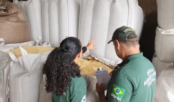 Operação apreende R$ 6 milhões em sementes irregulares no Rio Grande do Sul