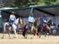 Cavalo Manga Larga mostra força e versatilidade na Agrishow 2026