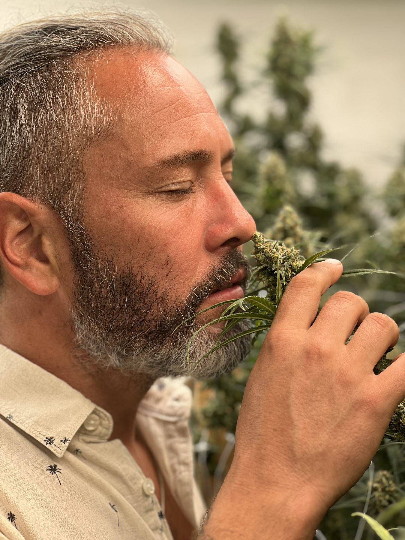 Curso da Accura Ensina, liderado por Ian Guedes, propõe formação prática em cultivo biológico e convida produtores rurais a se posicionarem em um mercado de alto valor agregado e crescente exigência regulatória