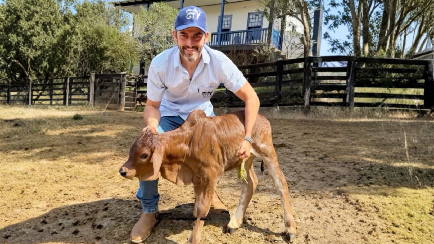 Guilherme Gervasio da Fazenda GT - Boran Brasil