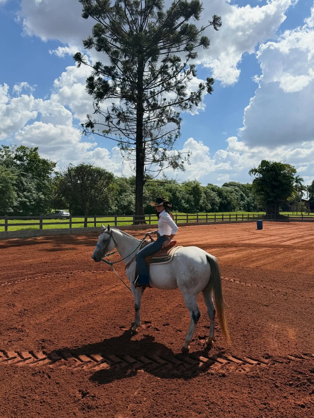 haras da Ana Castela