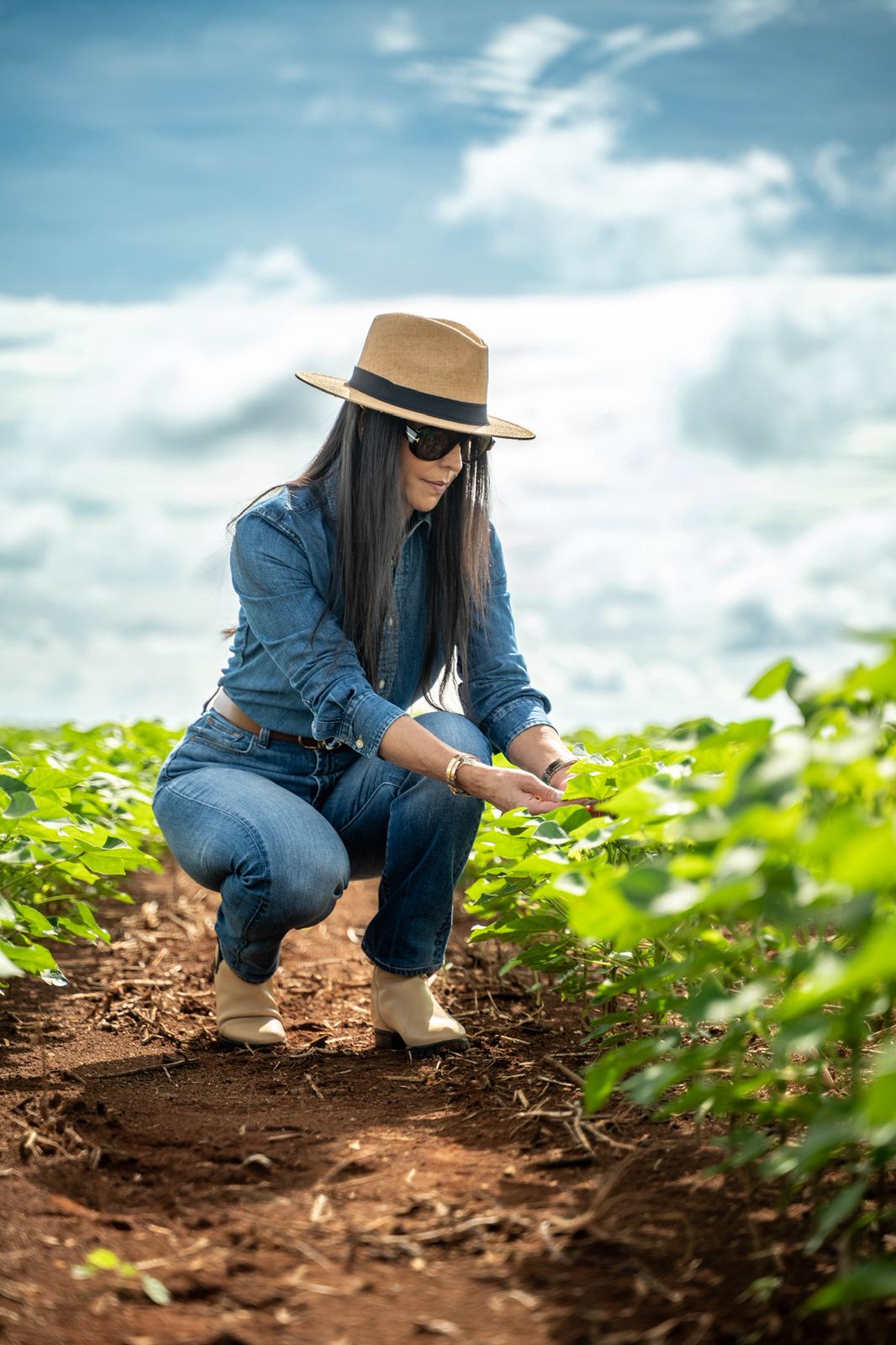 Soja sustentável rende R$ 6 milhões em bônus e impulsiona agricultura regenerativa em Mato Grosso