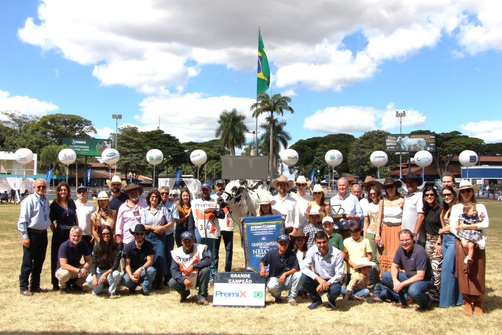 ZAP FIV GC DA SL