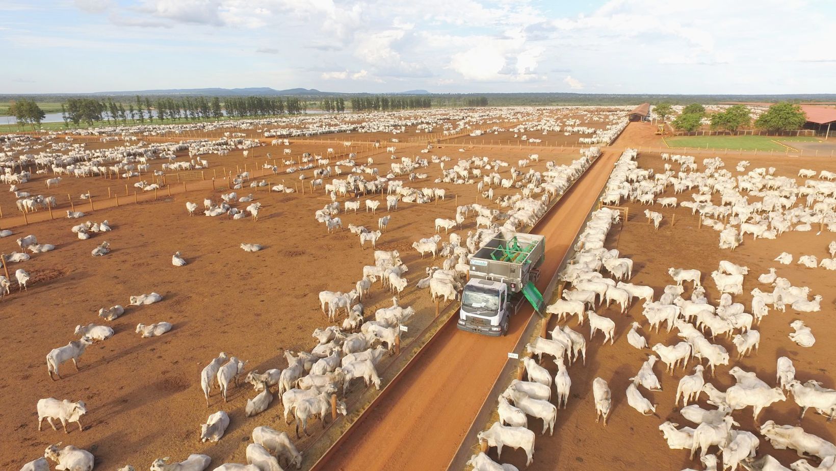 equipamento - caminhao casale distribuidor de silagem confinamento