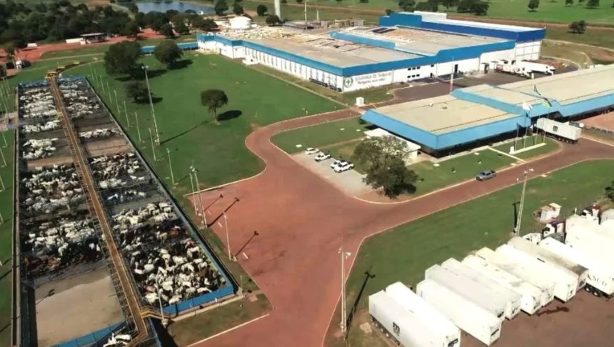maior frigorifico do Brasil