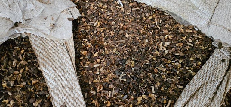 Mapa destina café apreendido para produção de composto orgânico no Paraná