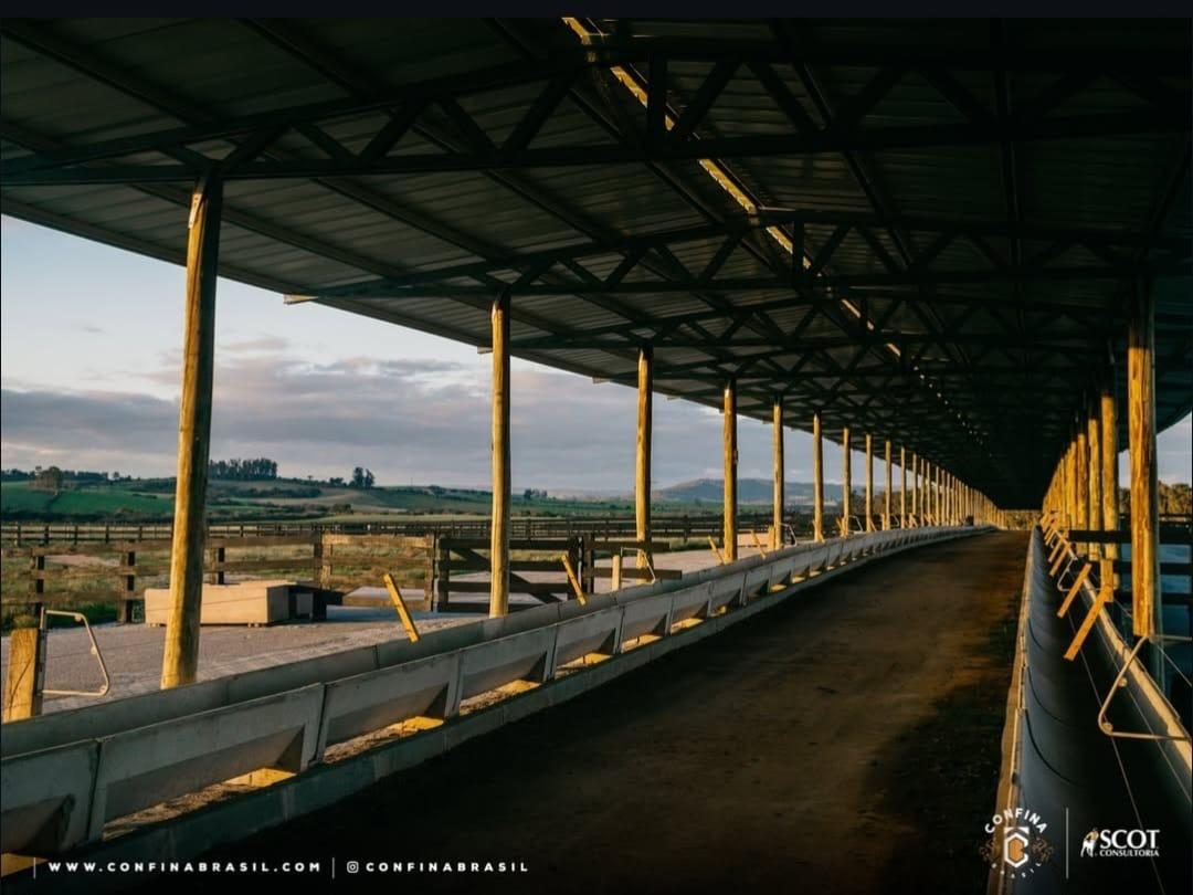 Com investimento de R$ 27 milhões, Fazenda Sentinela constrói megaestrutura para 120 mil bois por ano