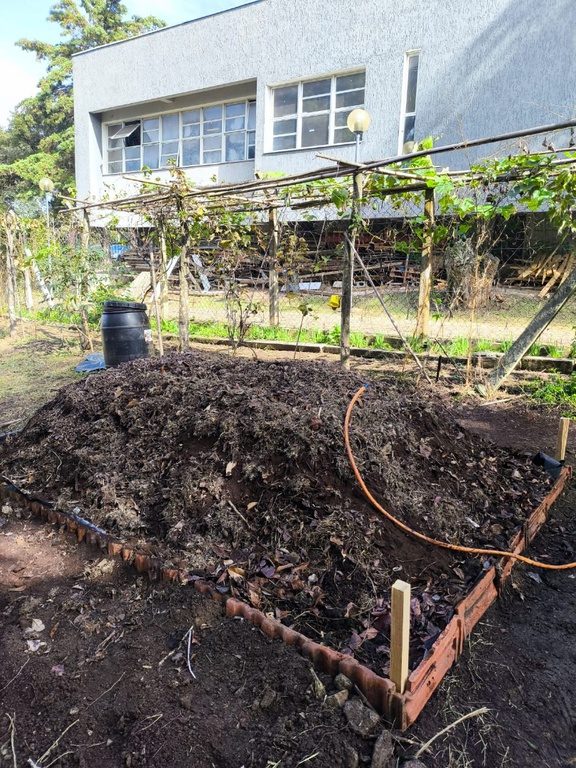 Mapa destina café apreendido para produção de composto orgânico no Paraná