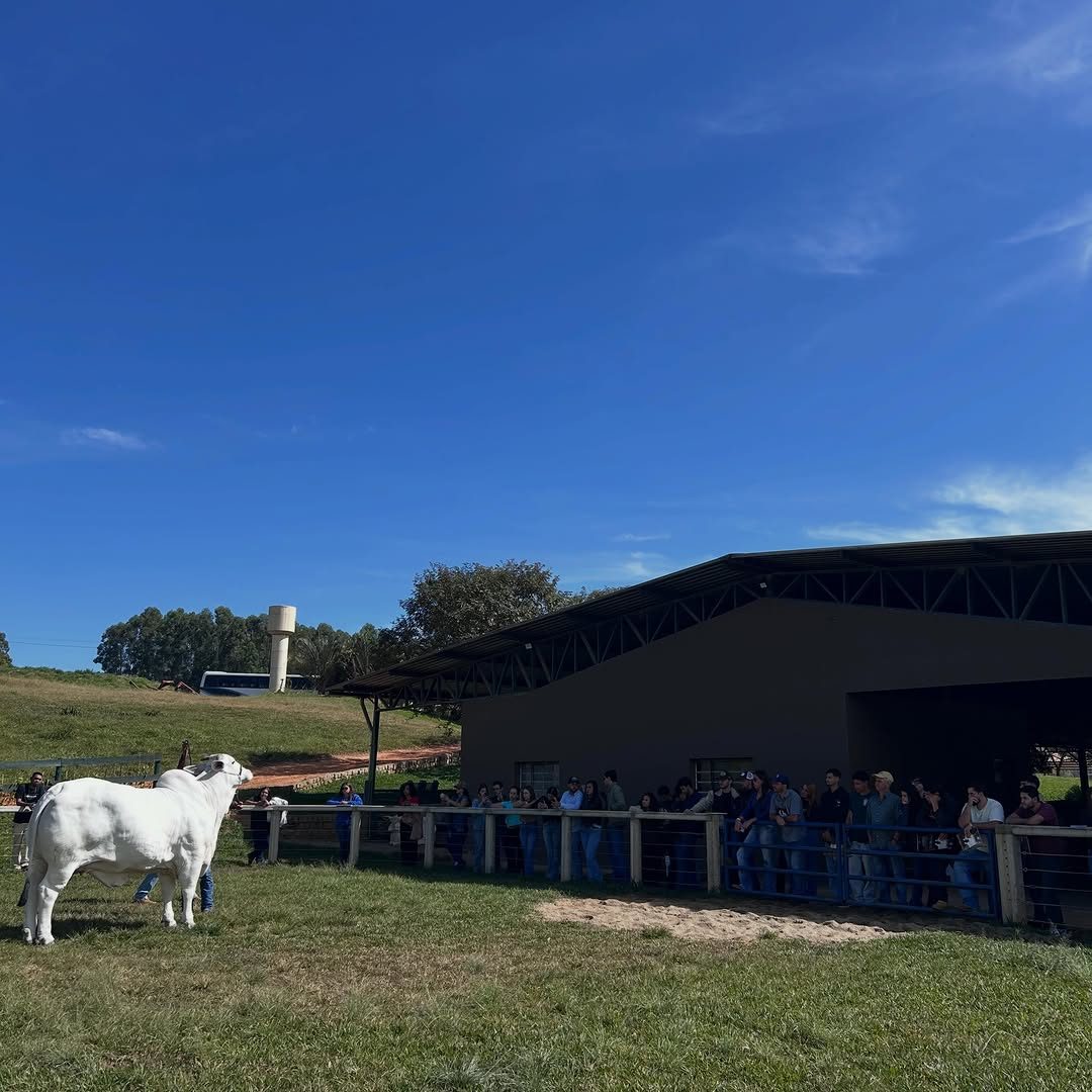 Casa Branca recebe estudantes de medicina veterinária para imersão em melhoramento genético na pecuária