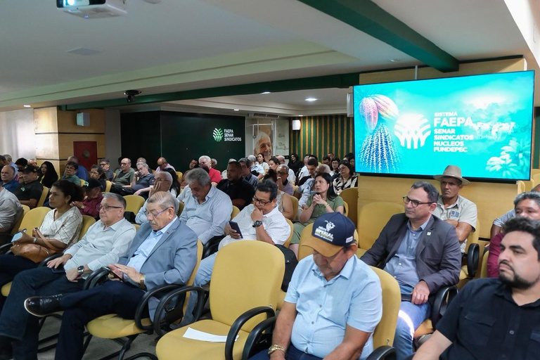 Bahia e Pará recebem projeto estratégico do Mapa para ampliar produção sustentável de cacau agroflorestal
