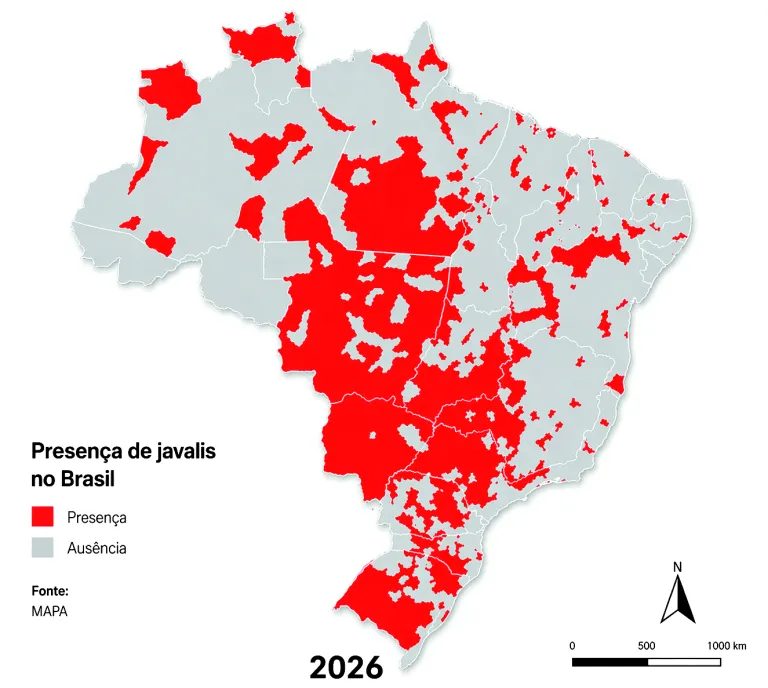 Mapa expõe avanço dos javalis no Brasil e acende alerta sanitário na suinocultura