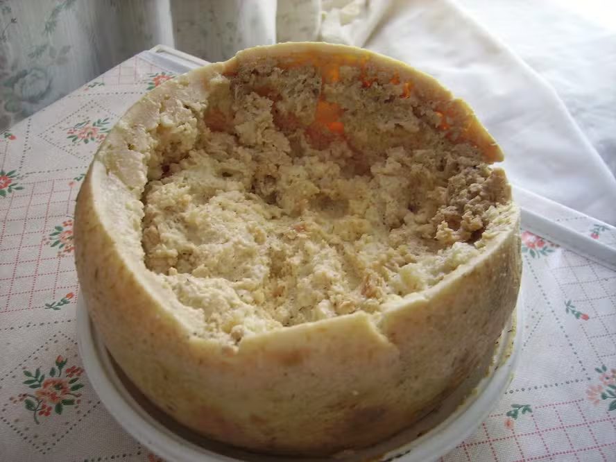 O queijo mais perigoso do mundo: conheça a iguaria proibida feita com larvas vivas