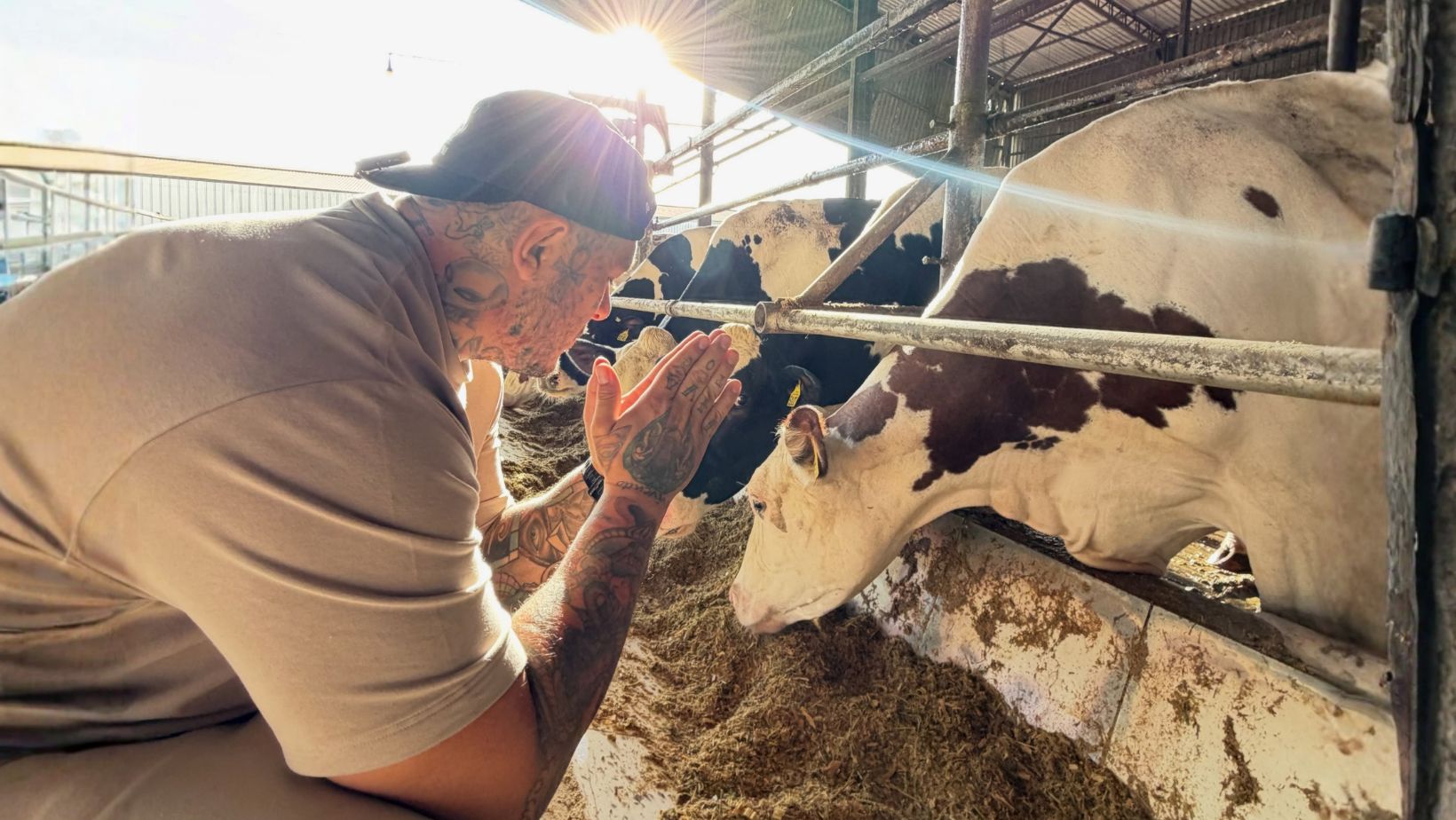 influencer Toguro em fazenda de leite - pecuaria leiteira