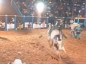 Peão morre pisoteado por touro durante rodeio em Rondônia; vídeo