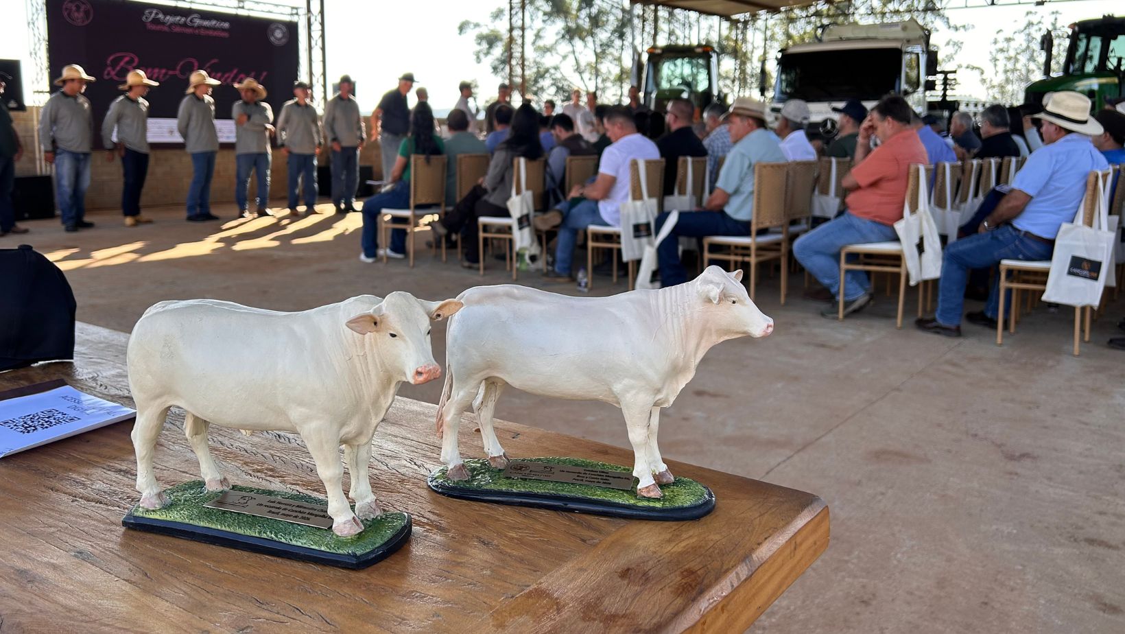 projeto genetica semen e embrioes da raca canchim - grupo ilma - miniaturas da raca canchim