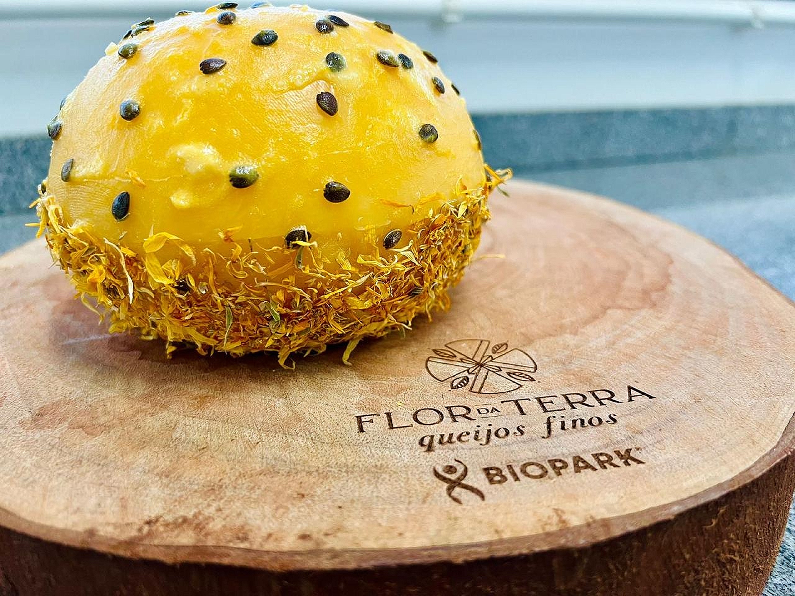 O Passionata foi considerado um dos dez melhores queijos do mundo Créditos: Divulgação/Biopark