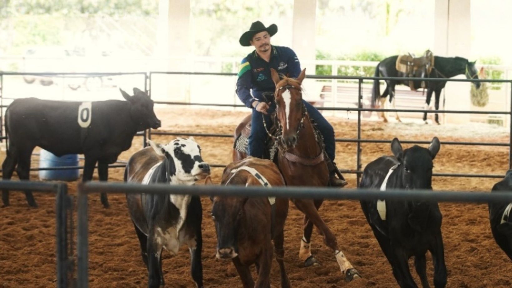 Ranch Sorting destaques da Nacional do Mangalarga
