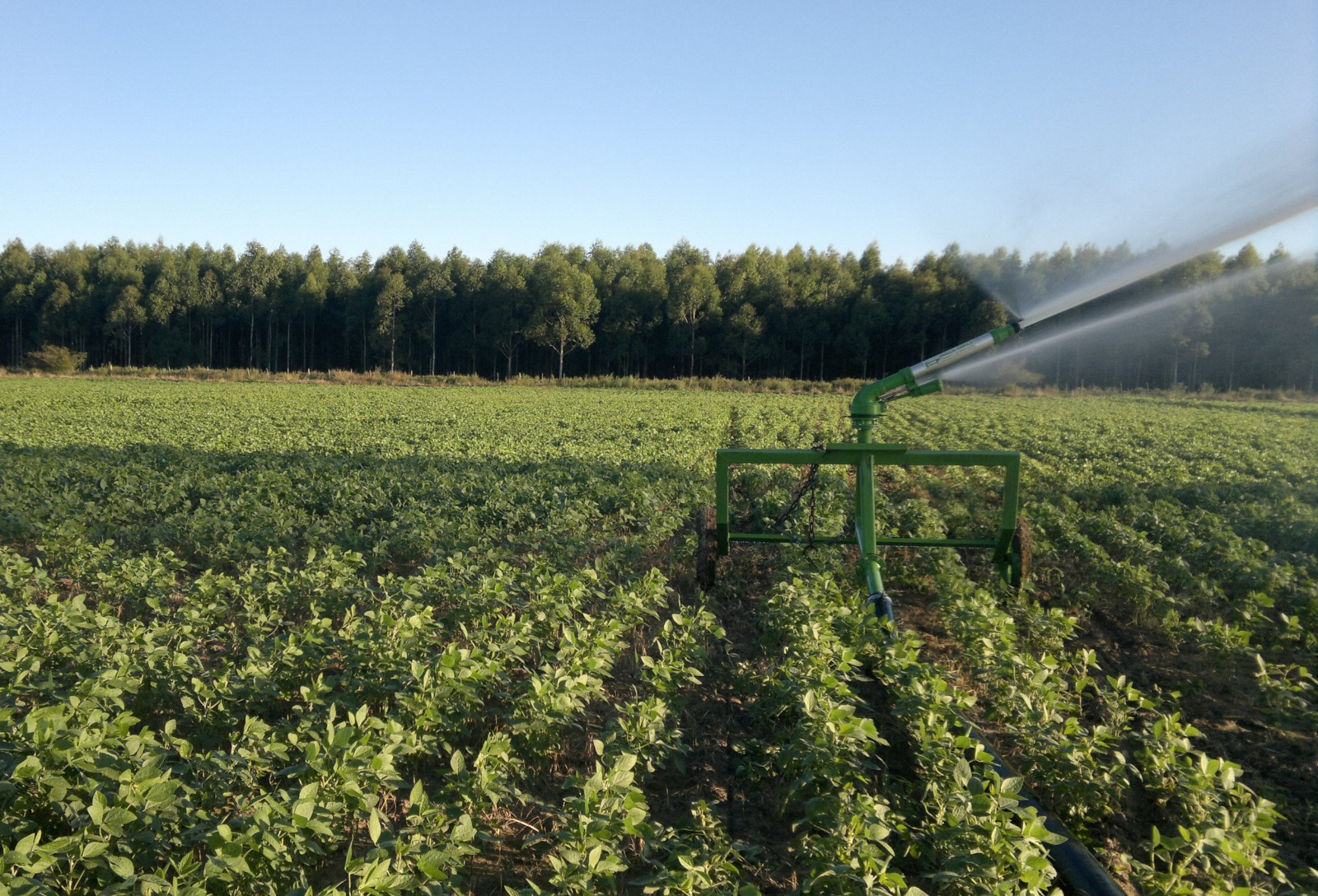 Produtores ganham mais prazo para atender exigências ambientais no crédito rural