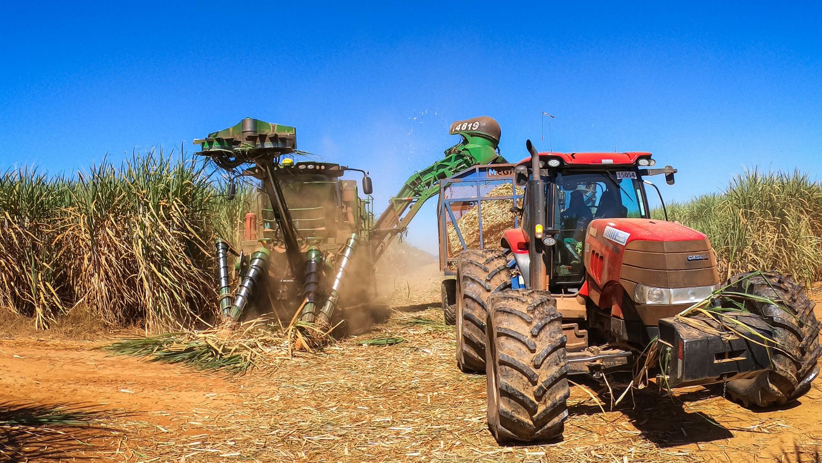 Qual a renda mensal de uma fazenda de 100 alqueires arrendada para cana?