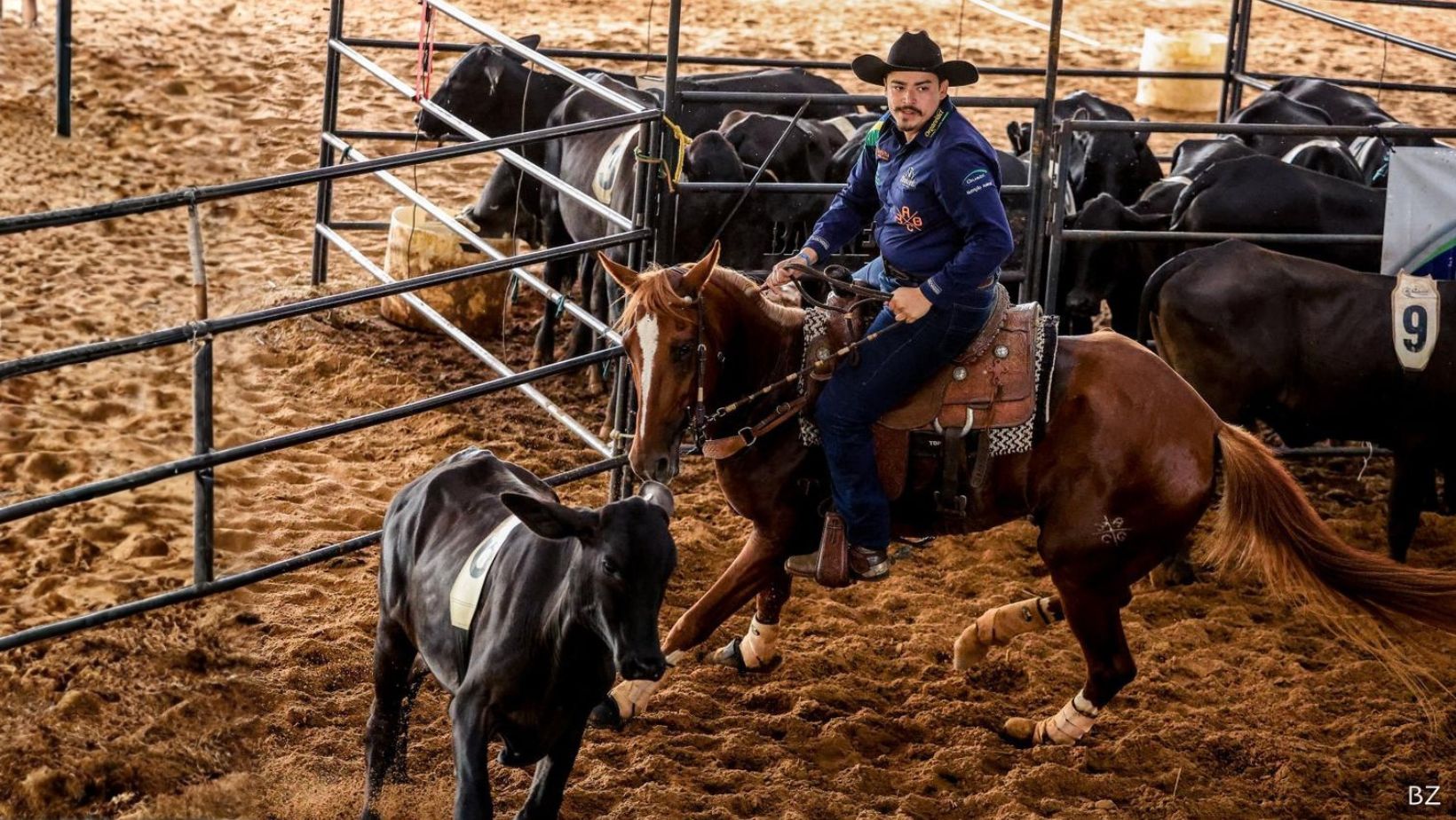Gabriel Cantadeiro - Competicao do Ranch Sorting - Cavalo Mangalarga