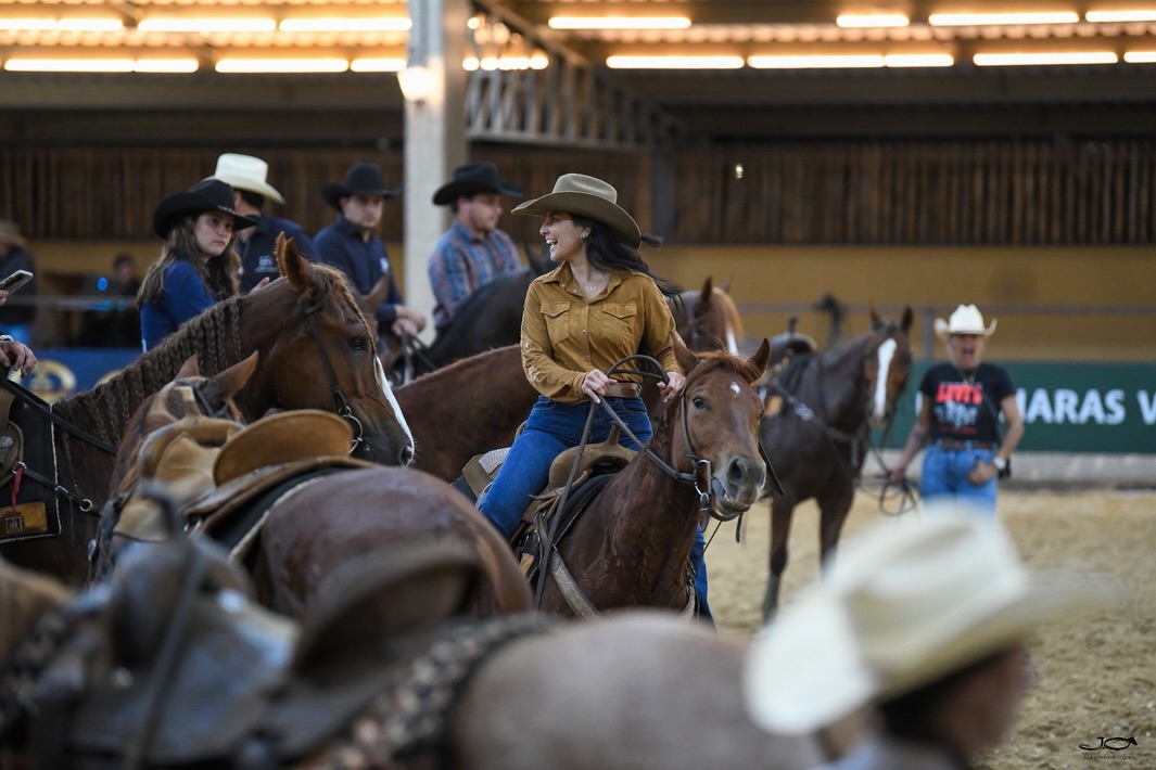 Nacional do Mangalarga - Ranch Sorting
