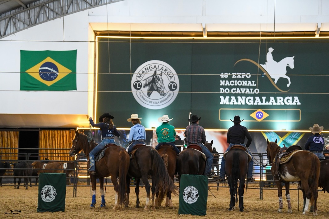 Nacional do Mangalarga - Ranch Sorting