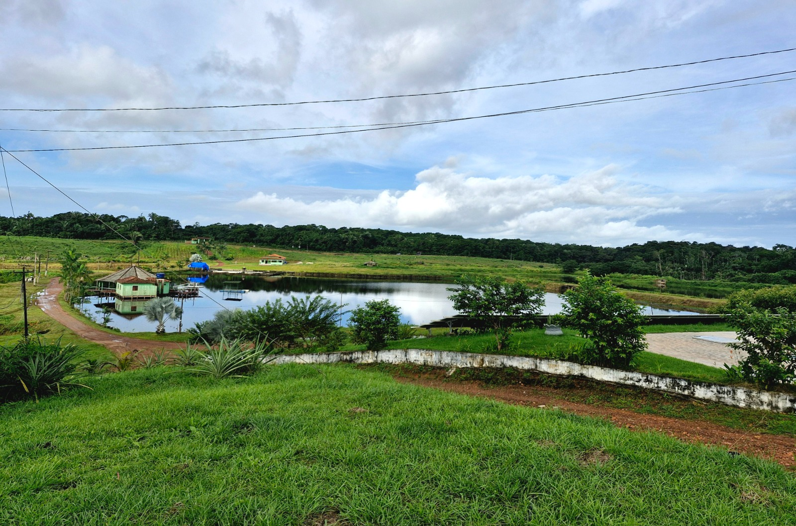 A propriedade de Jader Dias, no povoado Livramento, em Carutapera, reúne piscicultura, fruticultura, bovinocultura e apicultura. (Divulgação/Sebrae)