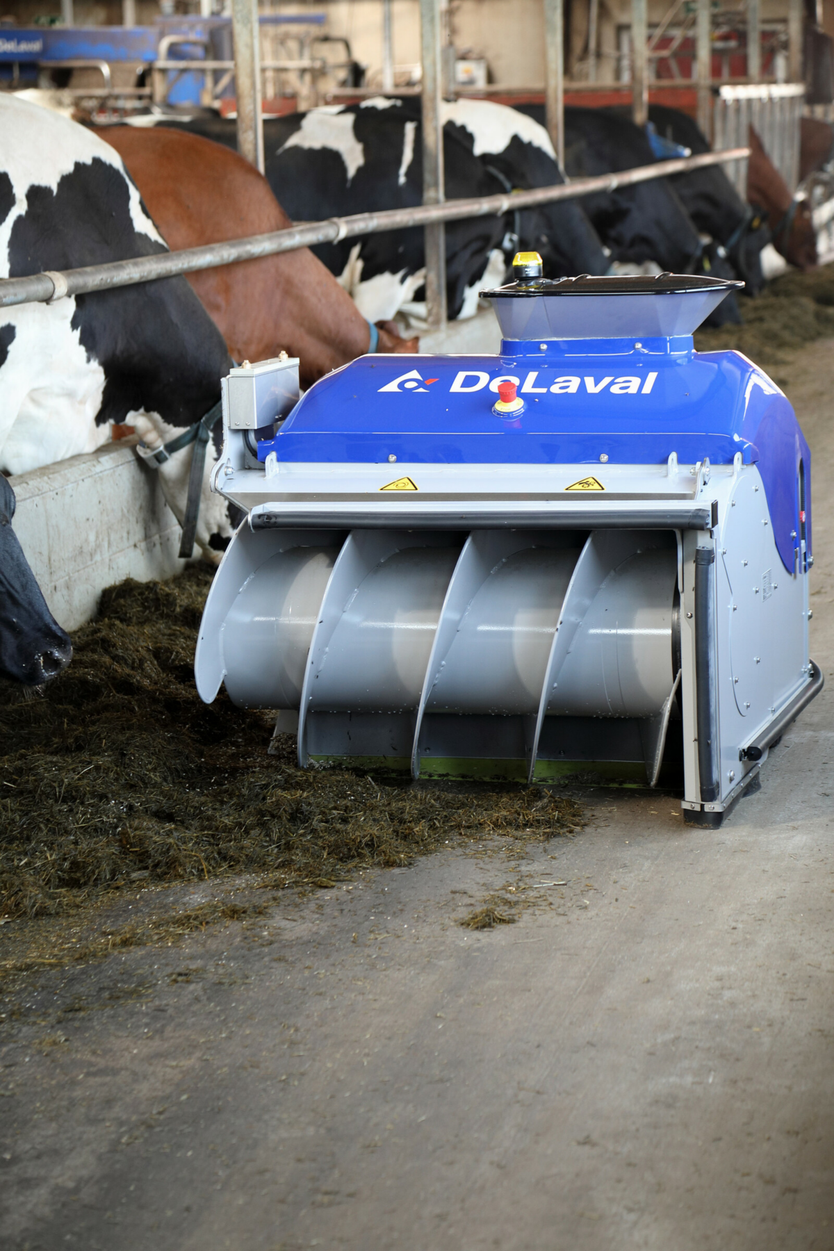 Robô alimenta vacas a cada hora e assume um dos trabalhos mais pesados da fazenda; conheça