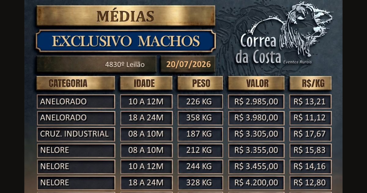valores correa da costa campo grande