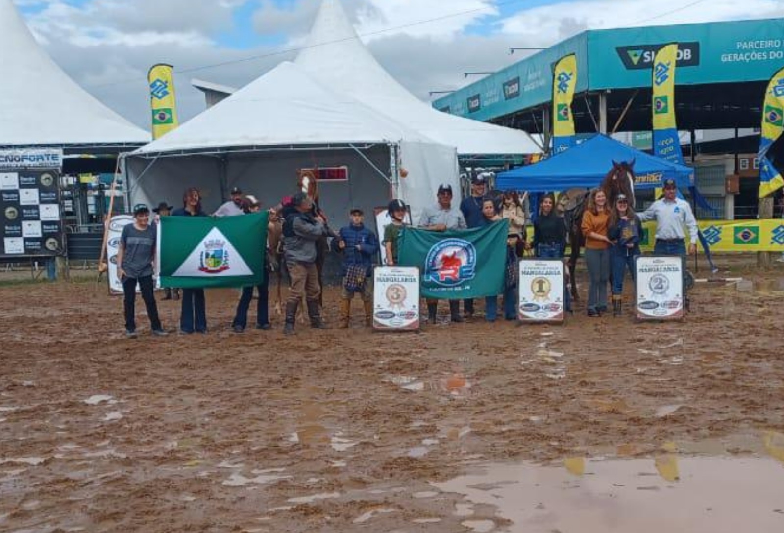 MANGALARGA EXPOINTER