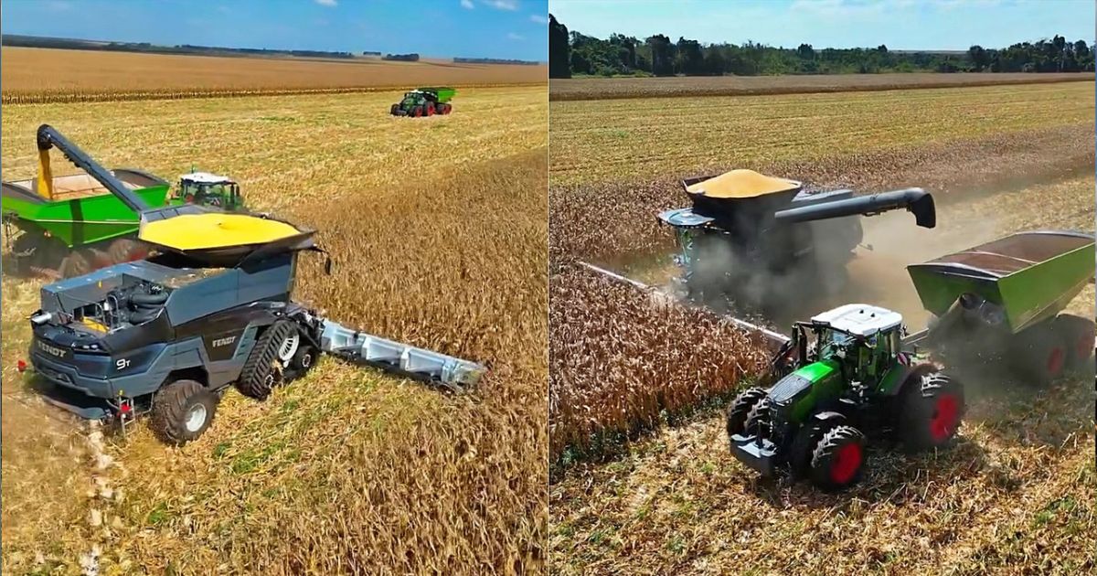 recorde de colheita de milho em mato grosso do sul - colheita