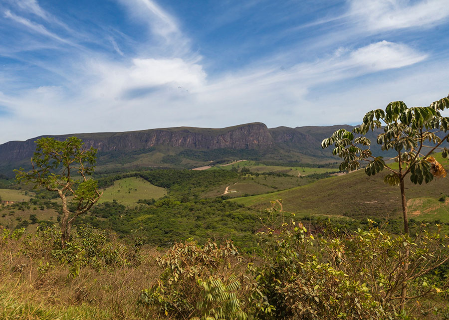 Consórcio internacional aponta estratégias para aliar conservação e renda no Cerrado mineiro