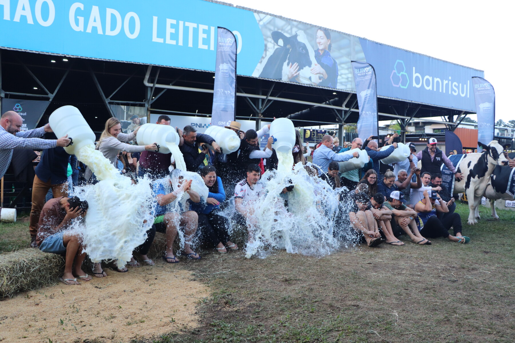 Granja Bruchez leva premiação de Campeã Jovem do Concurso Leiteiro na 49ª Expointer