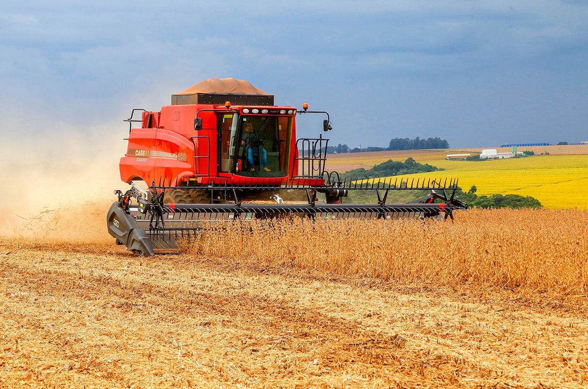 Valor de produção agrícola atinge recorde de R$ 927,2 bilhões, impulsionado por safra de grãos