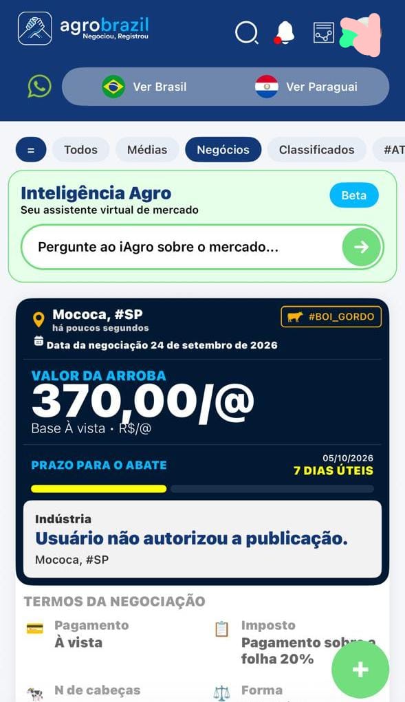 boi gordo a 370