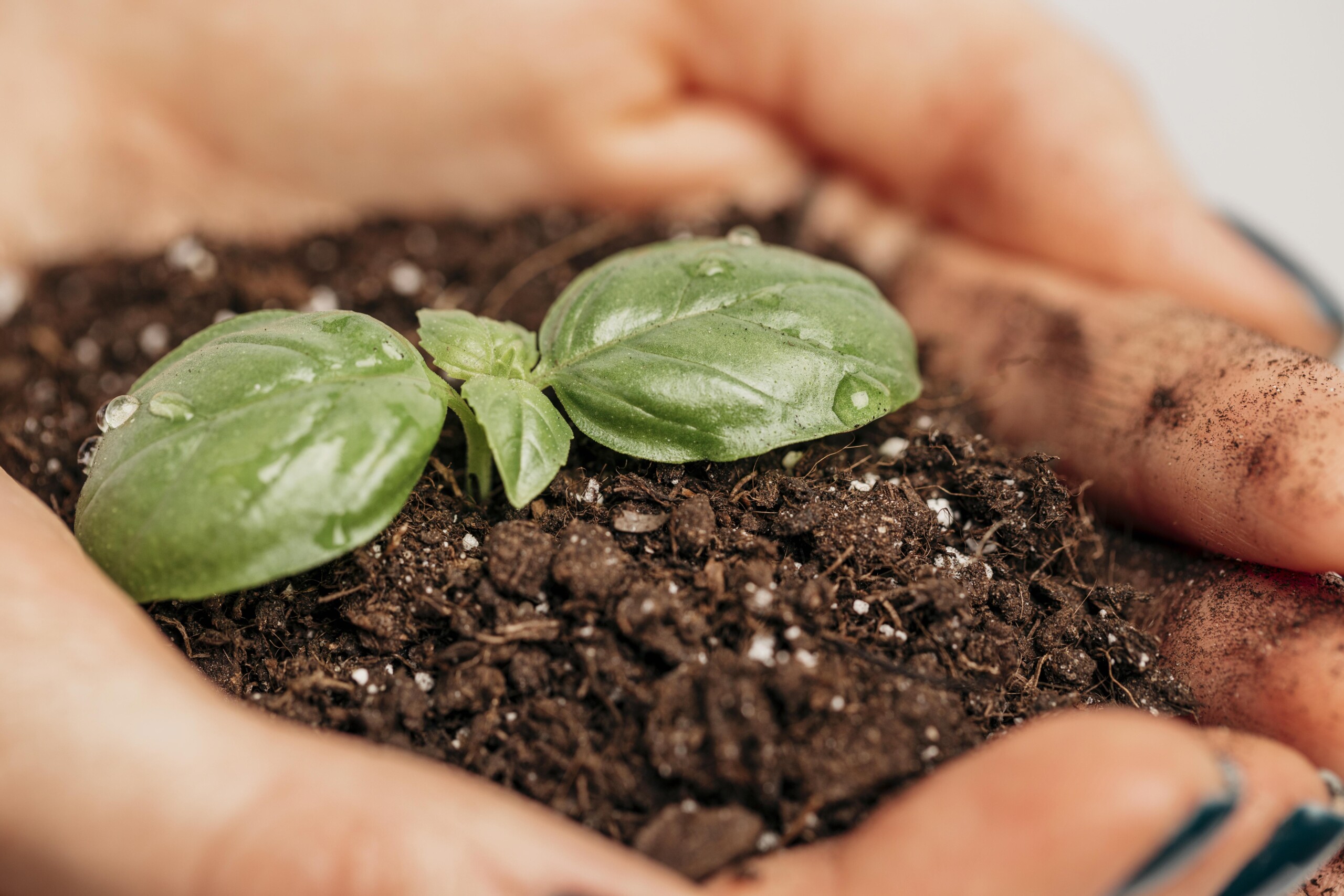 Profert entra em vigor e fixa mistura mínima de fertilizante nacional a partir de 2027