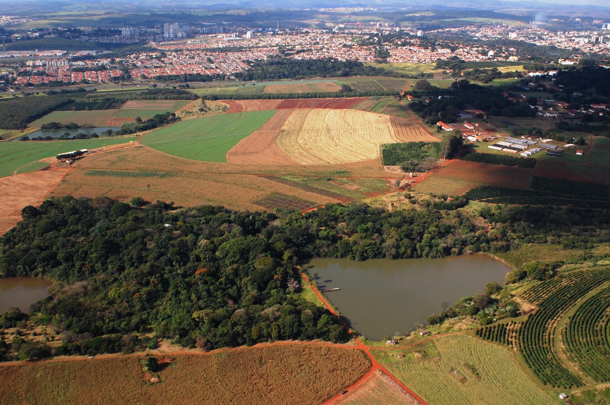 IAC/Reprodução Vista aérea da Fazenda Santa Elisa, em Campinas, onde funciona o Centro de Grãos e Fibras do IAC