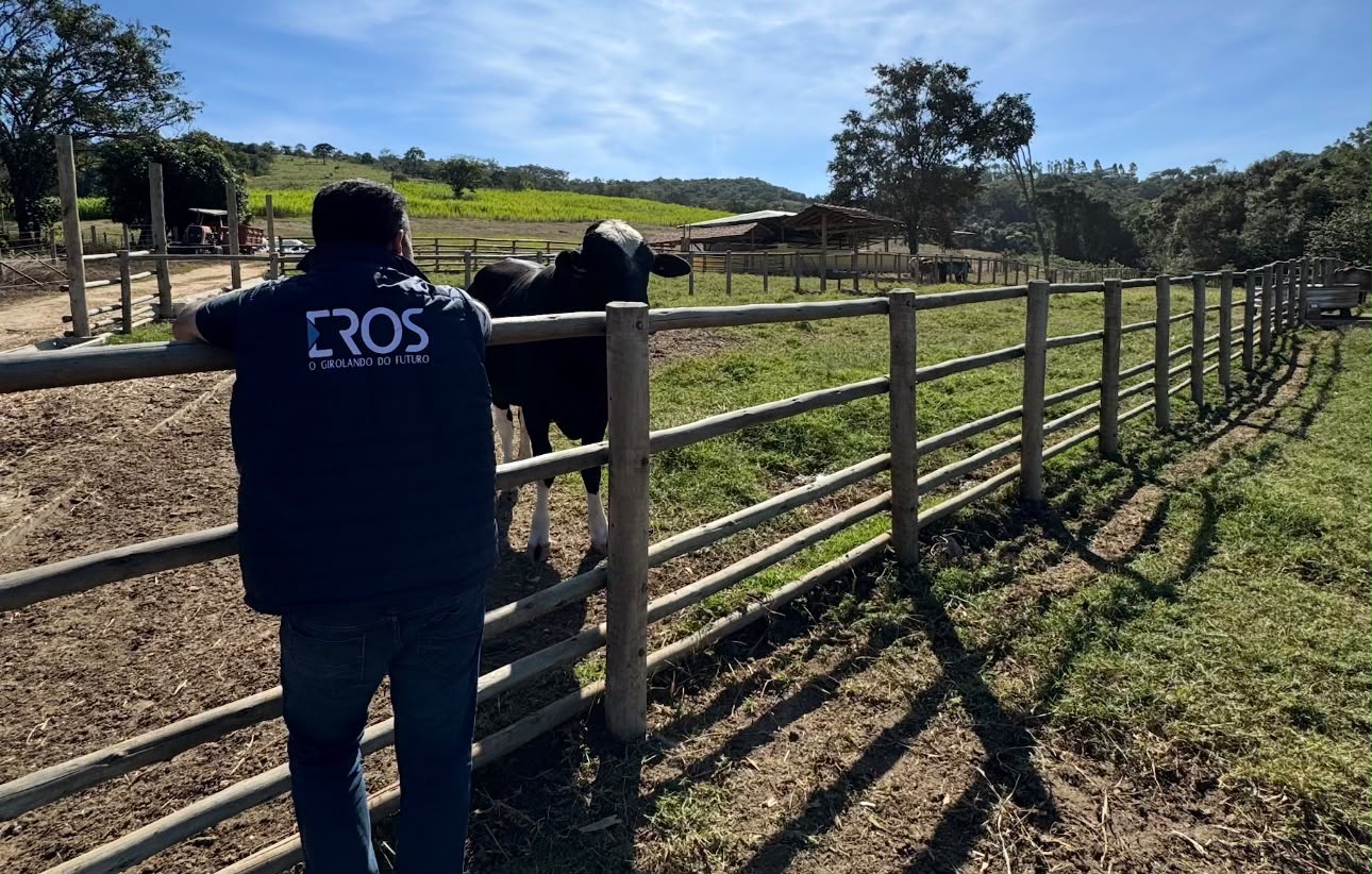 girolando eros comprerural