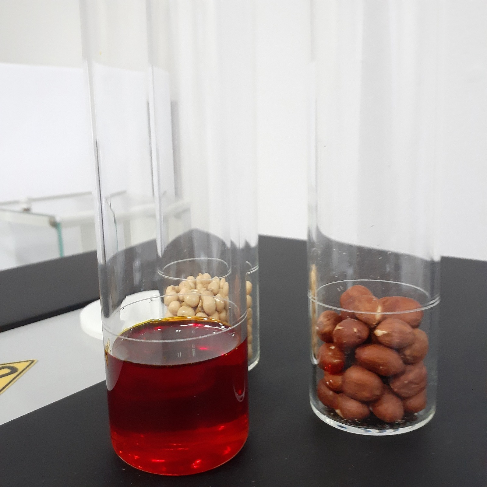 Pressão sobre preços muda estratégia do mercado de amendoim e aumenta importância da qualidade