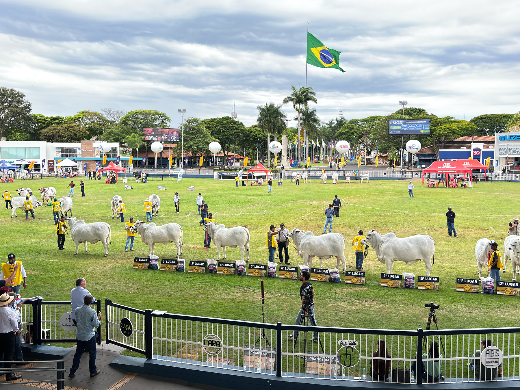 ACNB abre inscrições para a 55ª Expoinel, em outubro, em Uberaba