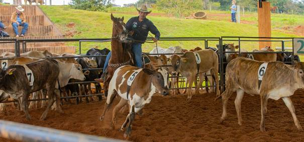 Raça Mangalarga será o grande destaque do Jaguariúna Rodeo Festival 2026