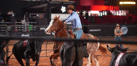 Mega Ranch Mangalarga 2026 faz história no Jaguariúna Rodeo Festival 2026