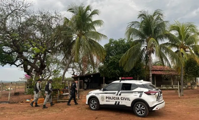 Criminosos desligam câmeras e levam 40 Nelore avaliados em R$ 148 mil de fazenda em GO