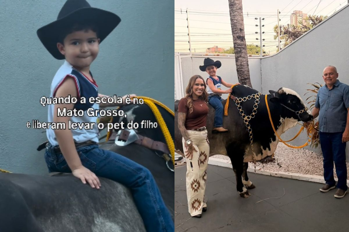 Menino chega a festa da escola montado em um boi de 600 kg em Mato Grosso