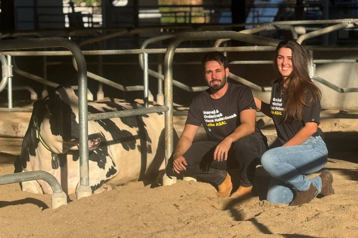 Fazenda mineira usa inteligência artificial para escolher os melhores cruzamentos do rebanho