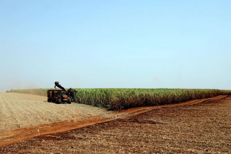 São Martinho aprova compra de 48,8 hectares de área em Iracemápolis (SP)